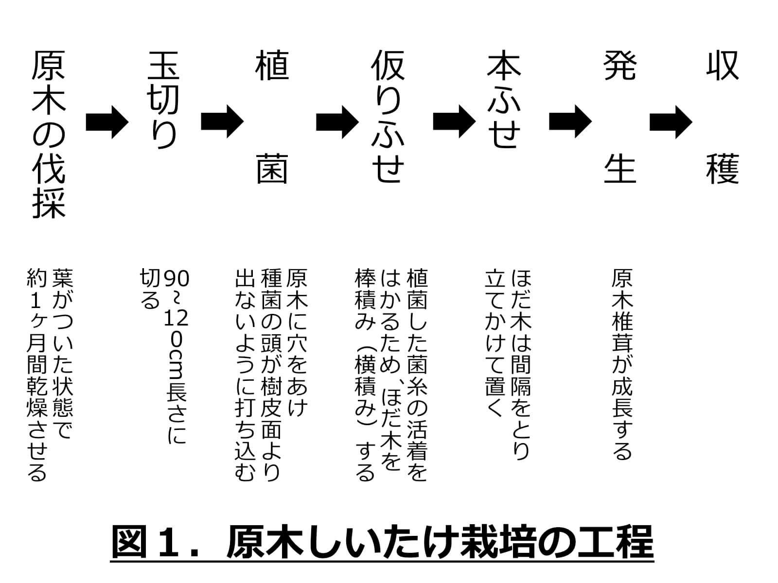 ヘルシーレシピの画像