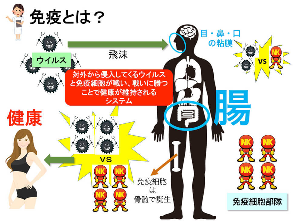 免疫とは