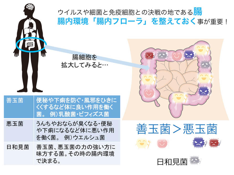 免疫とは