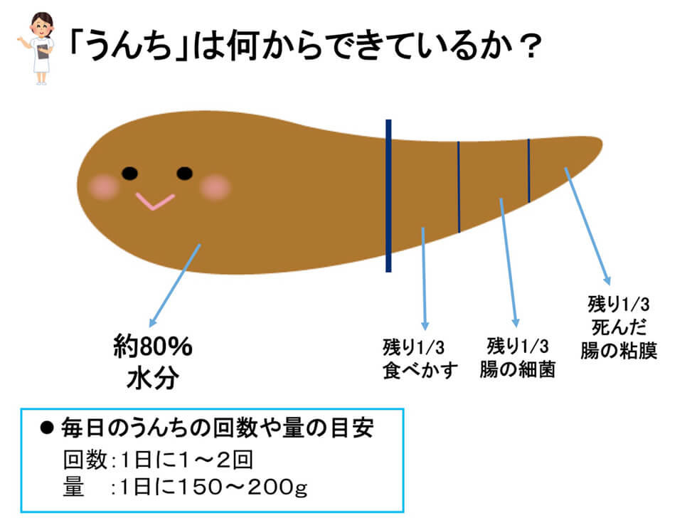 ブリストルスケール