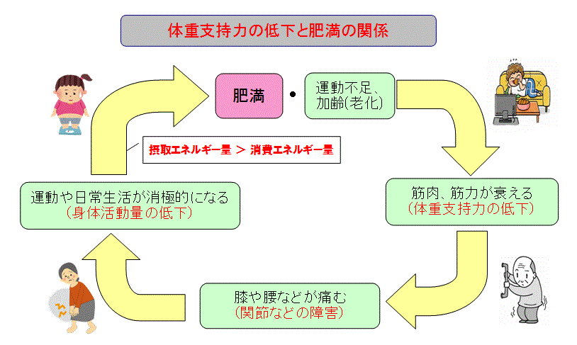 体重支持力の低下と肥満の関係