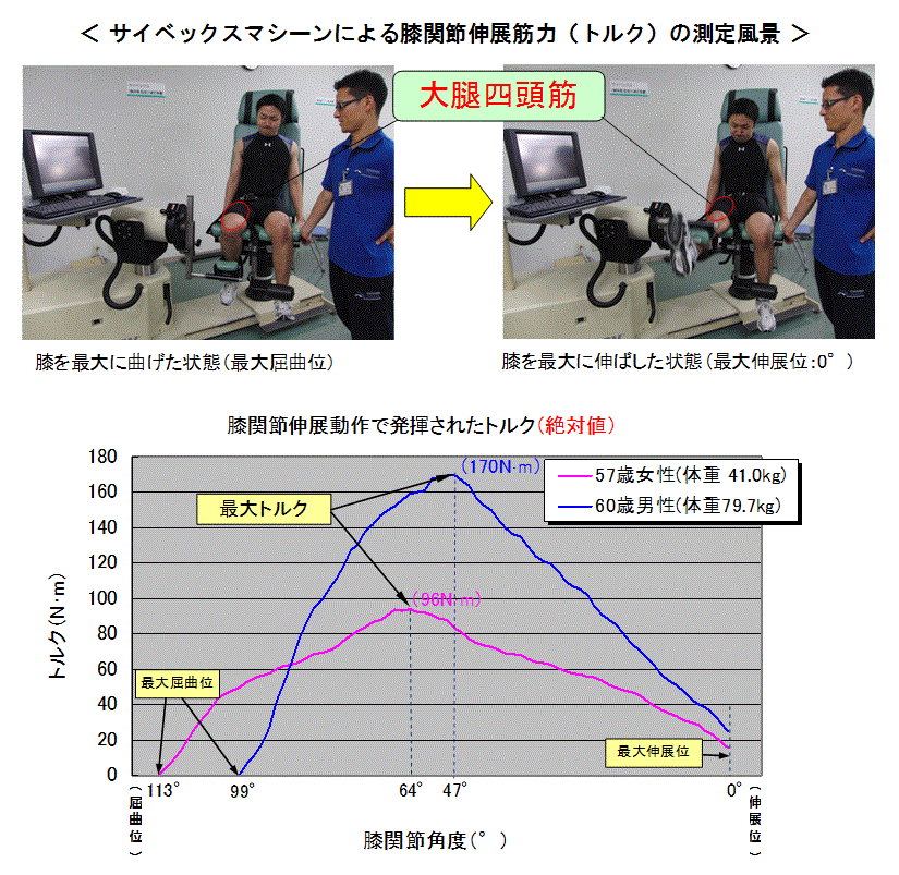 サイベックスマシーンによる膝関節伸展筋力の測定風景