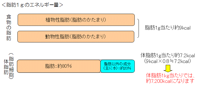 図説